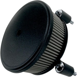 FILTRE A AIR ARLEN NESS 10100642